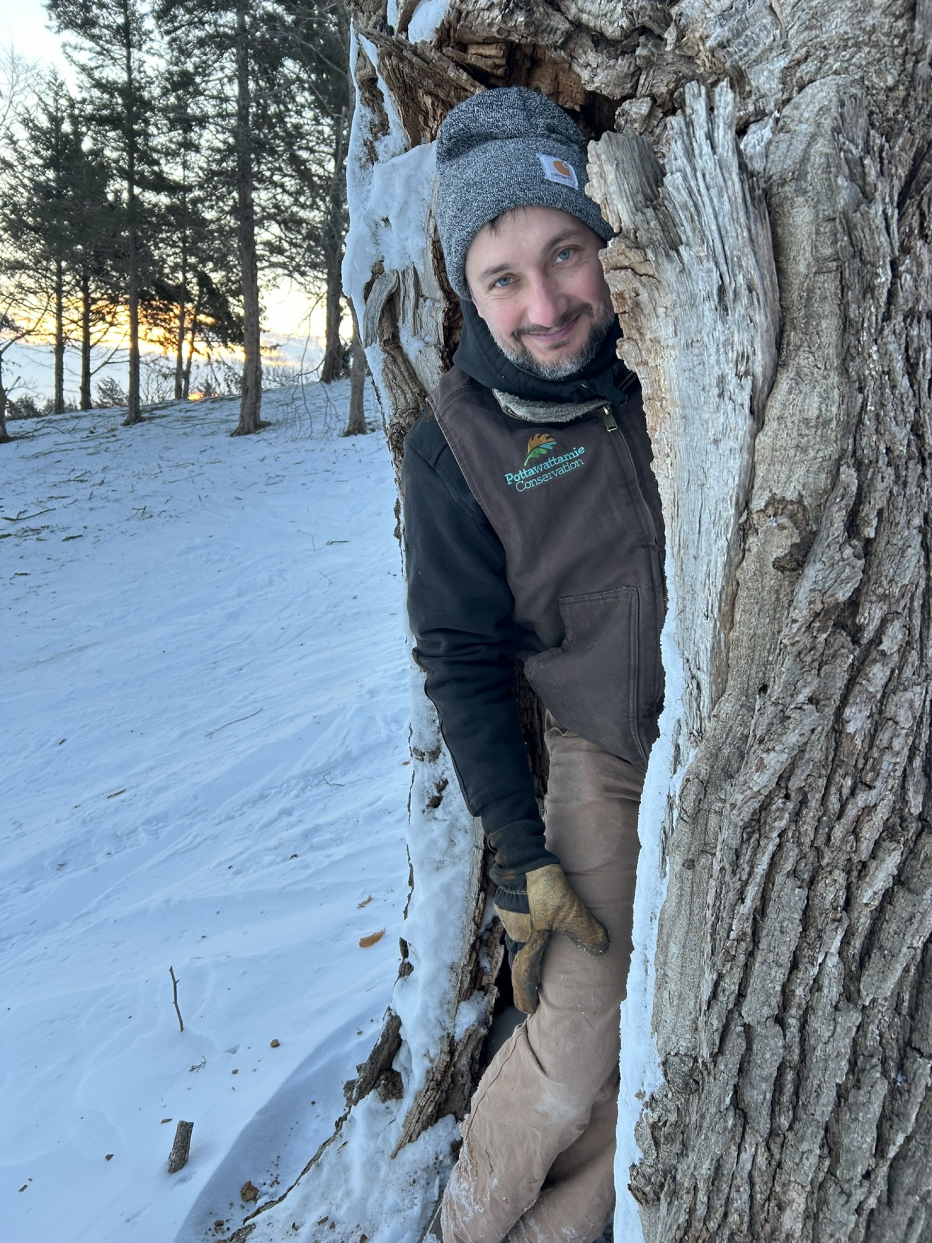 Natural Areas Management technician Aric Ping standing in the hollow of a bur oak tree which has stood at Mt. Crescent since before the ski hill opened in 1961.