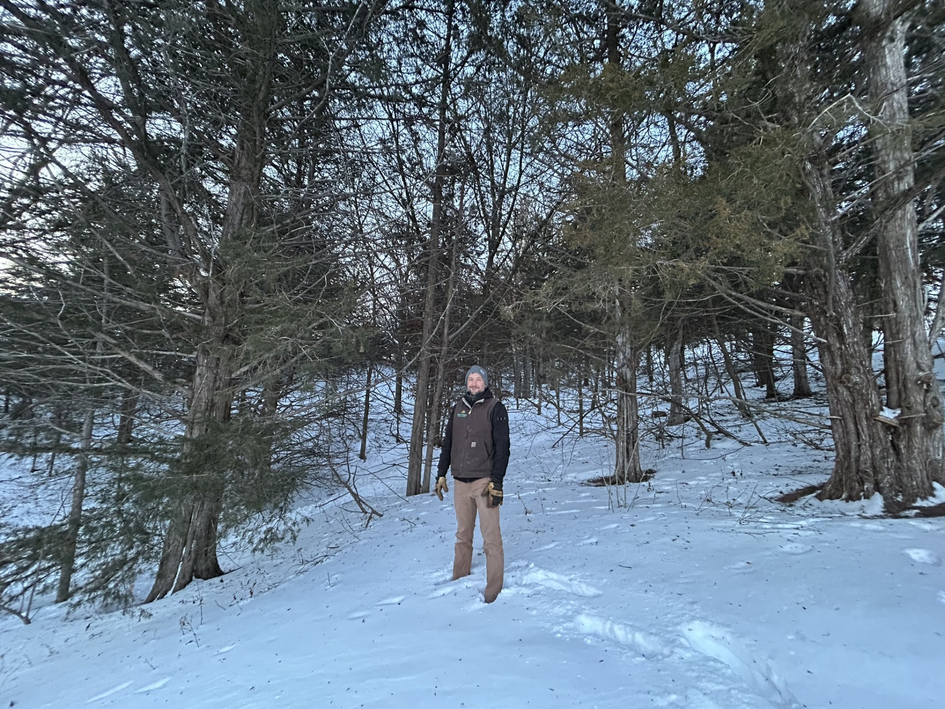 Natural Areas Management technician Aric stands in an area of thick Eastern Red Cedar trees at Mt. Crescent.