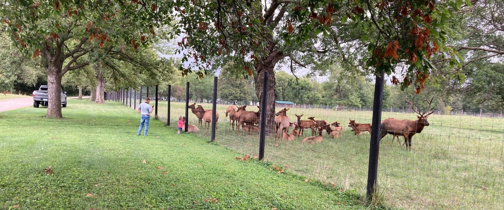 Botna Bend Park, elk