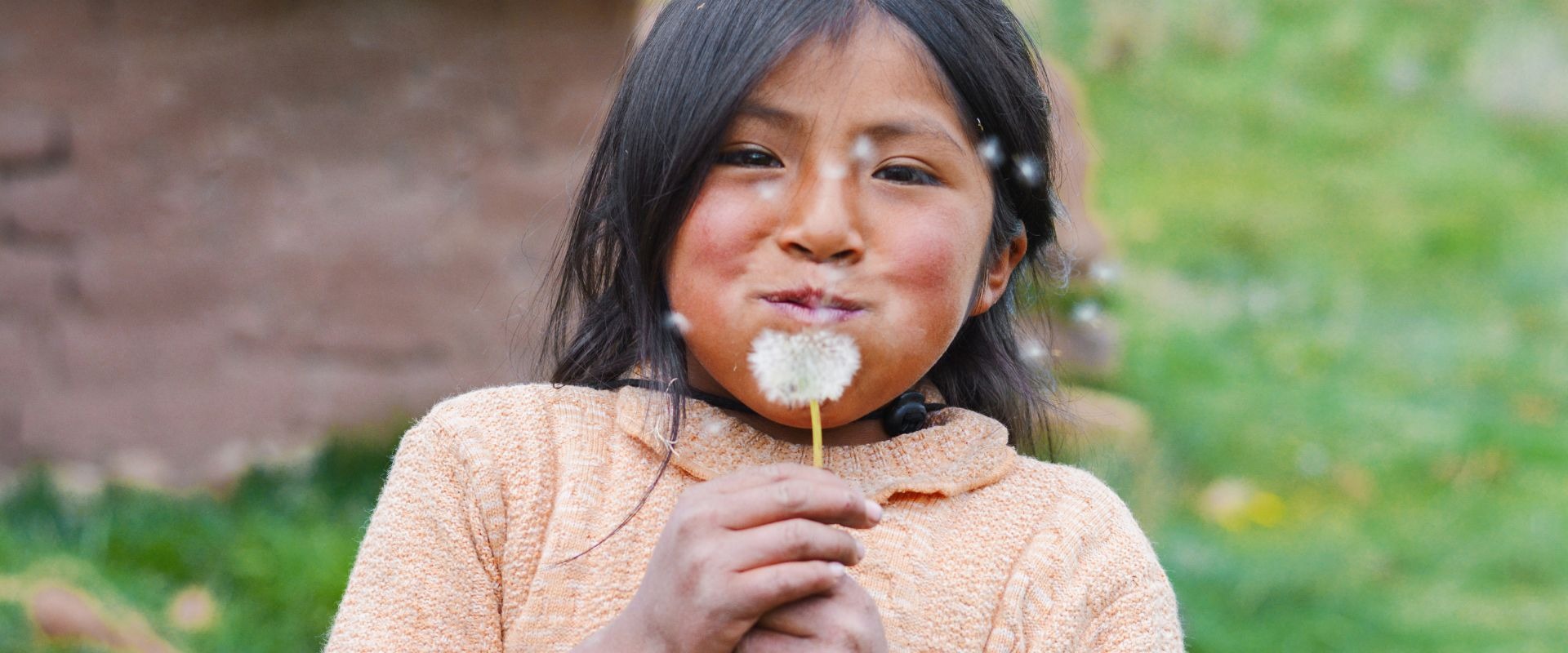 Child blowing dandelion seeds.