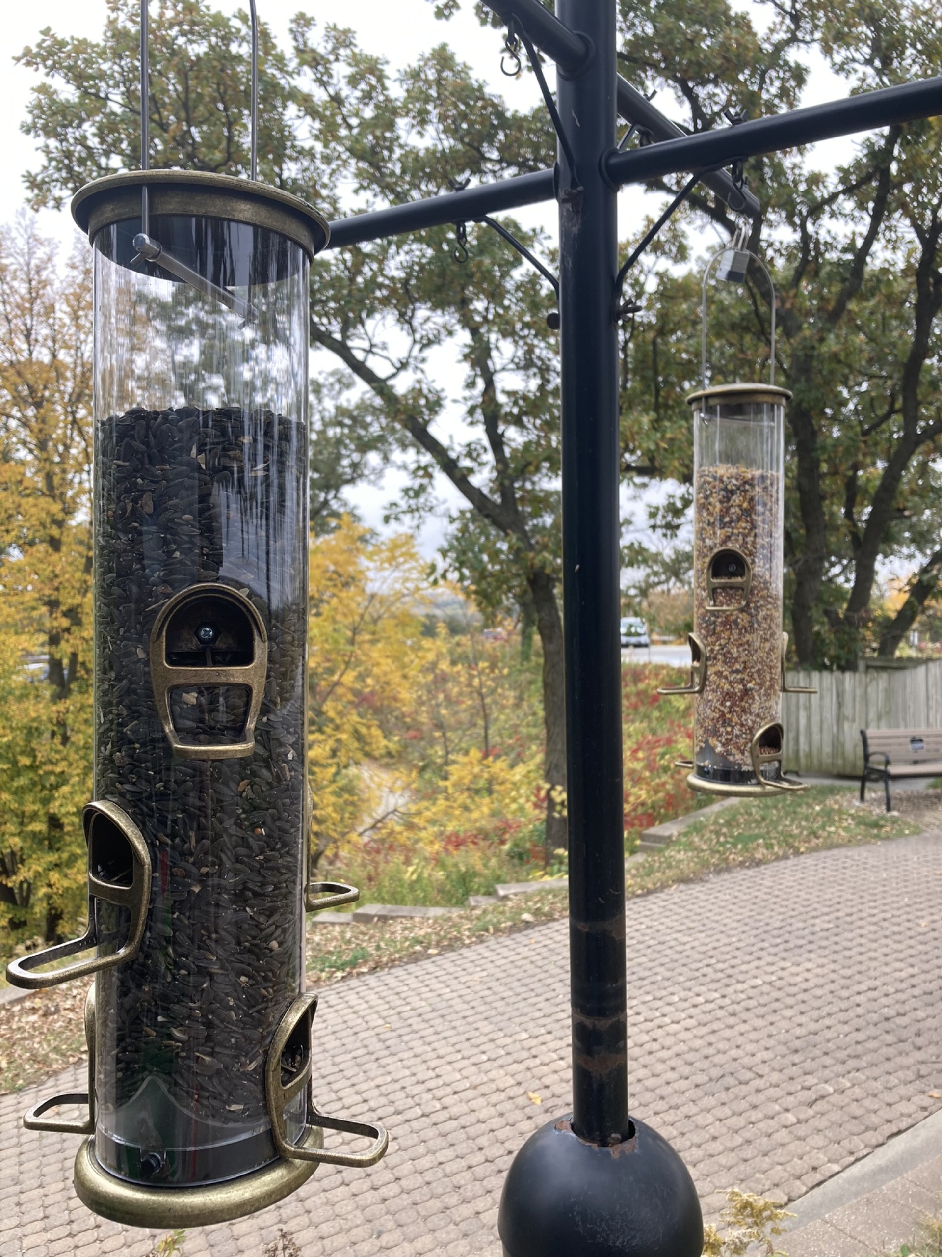 Bird feeders at Hitchcock Nature Center.
