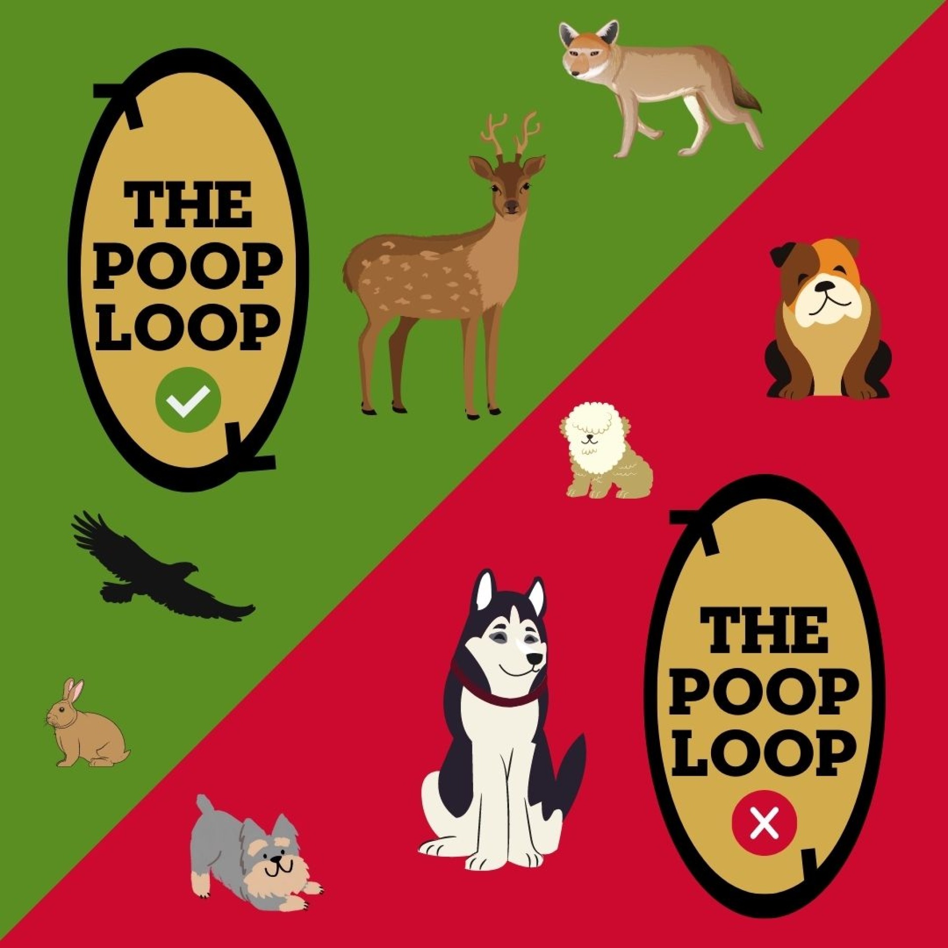 The Poop Loop