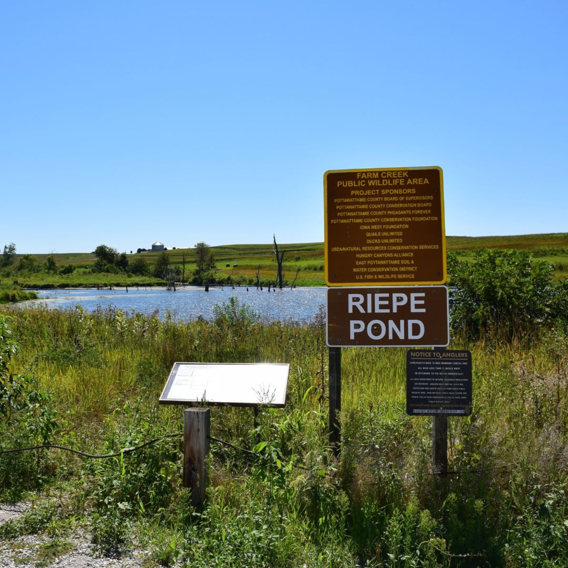 Riepe Pond at Farm Creek.