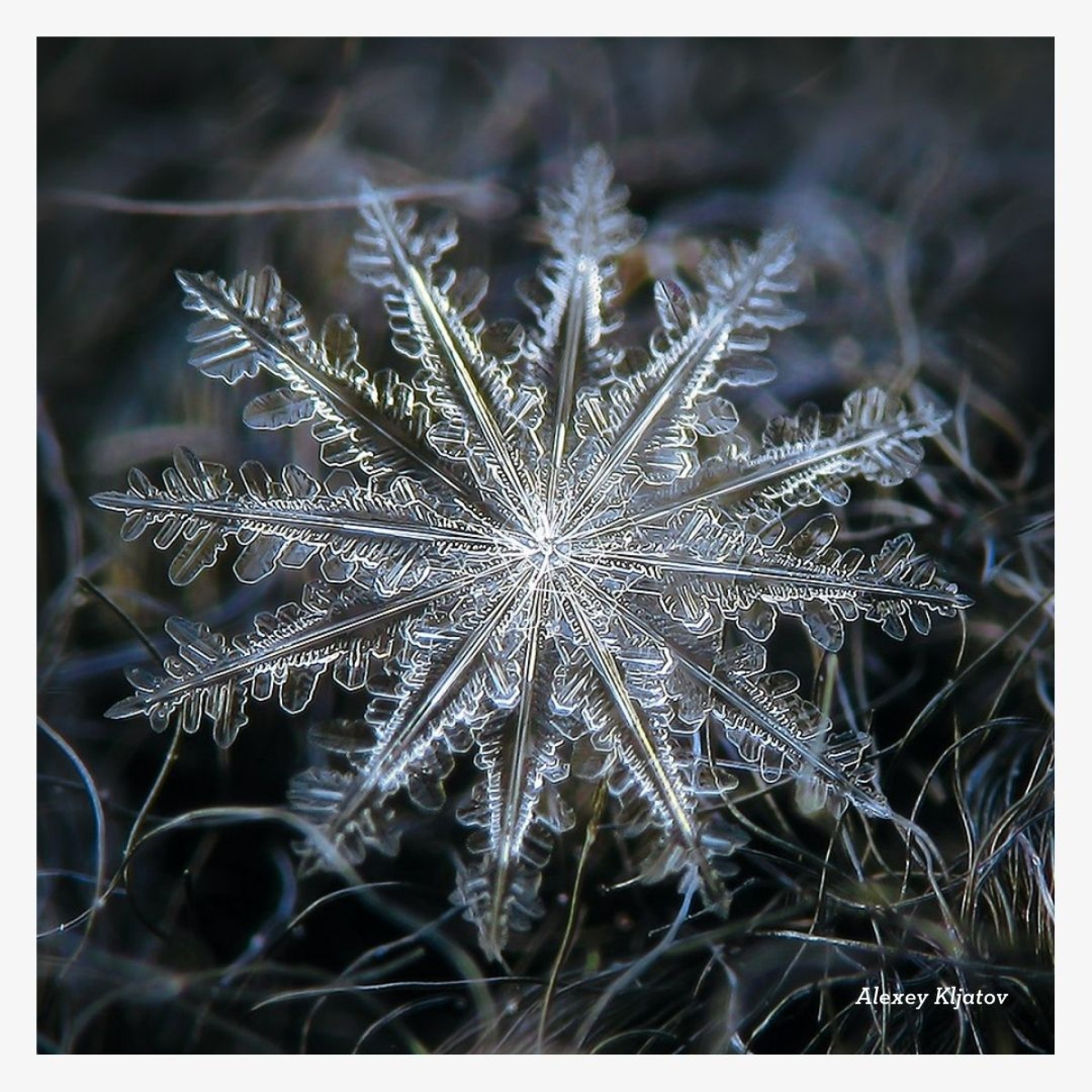 Closeup of snowflake.