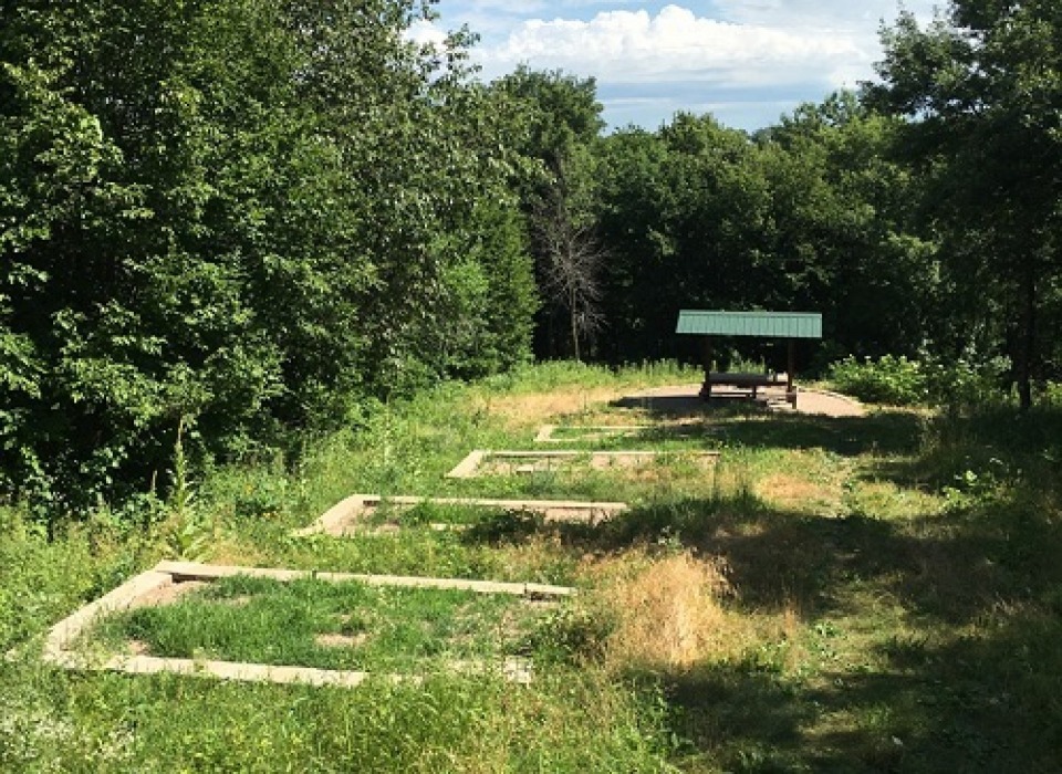 Shea Way Backcountry Campsite